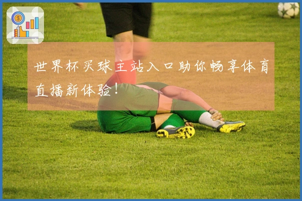 世界杯买球主站入口助你畅享体育直播新体验！