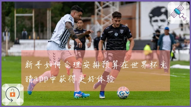 新手如何合理安排预算在世界杯竞猜app中获得更好体验