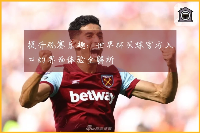 提升观赛乐趣，世界杯买球官方入口的界面体验全解析