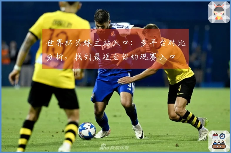 世界杯买球主站入口：多平台对比分析，找到最适合你的观赛入口