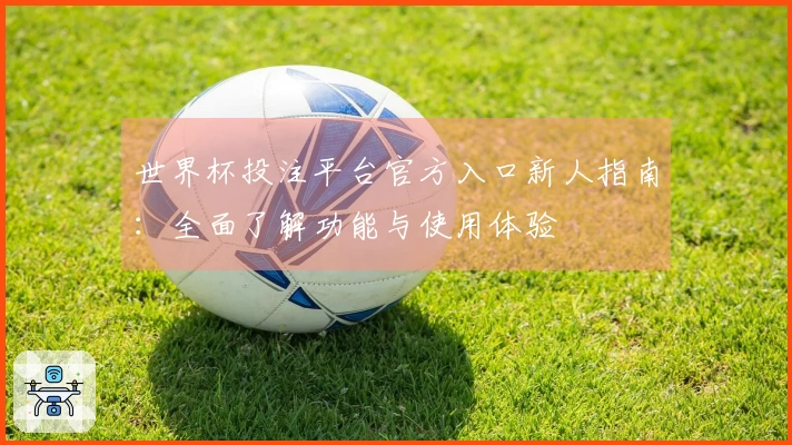 世界杯投注平台官方入口新人指南：全面了解功能与使用体验