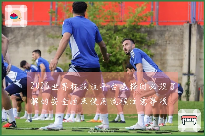 2026世界杯投注平台选择时必须了解的安全性及使用流程注意事项