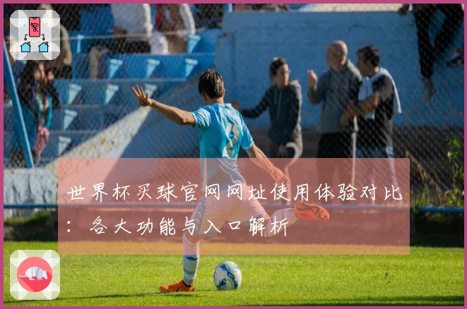 世界杯买球官网网址使用体验对比：各大功能与入口解析