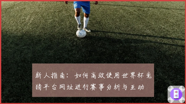新人指南：如何高效使用世界杯竞猜平台网址进行赛事分析与互动
