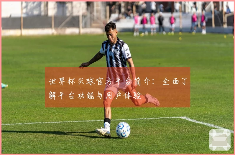 世界杯买球官方平台简介：全面了解平台功能与用户体验
