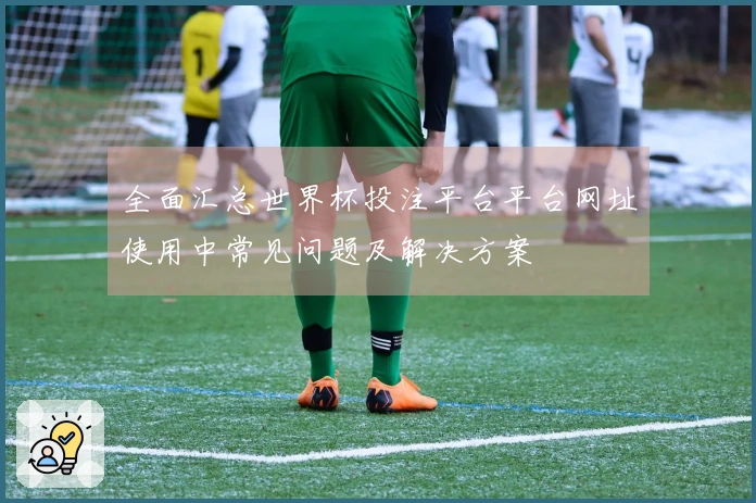全面汇总世界杯投注平台平台网址使用中常见问题及解决方案