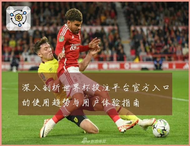 深入剖析世界杯投注平台官方入口的使用趋势与用户体验指南