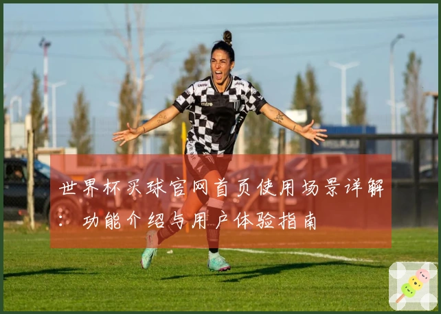 世界杯买球官网首页使用场景详解:功能介绍与用户体验指南