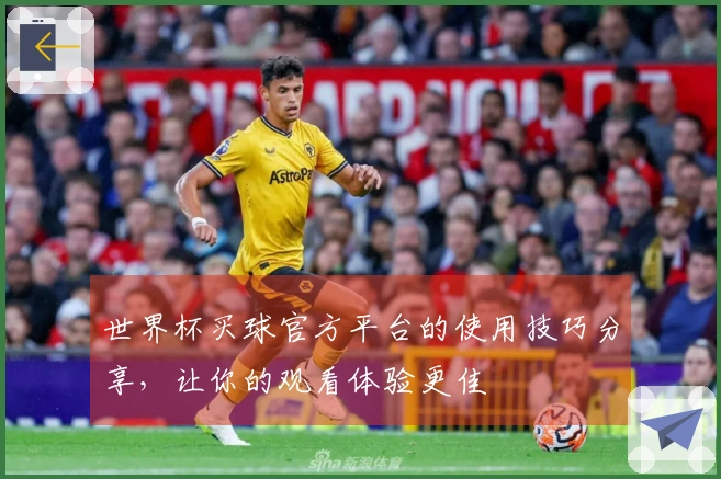 世界杯买球官方平台的使用技巧分享,让你的观看体验更佳