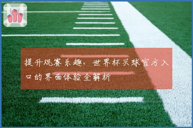 提升观赛乐趣，世界杯买球官方入口的界面体验全解析