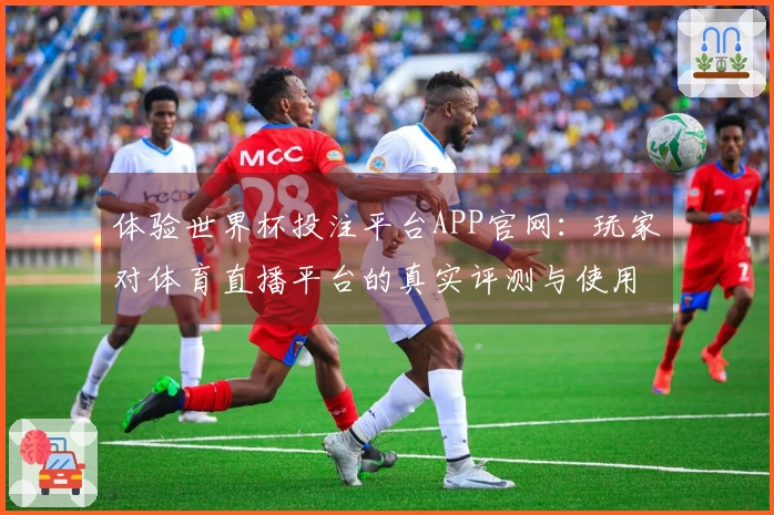 体验世界杯投注平台APP官网：玩家对体育直播平台的真实评测与使用感受