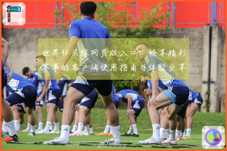 世界杯买球网页版入口：畅享精彩赛事的客户端使用指南与体验分享