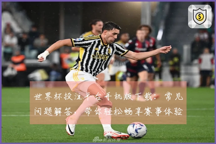 世界杯投注平台手机版下载：常见问题解答，带你轻松畅享赛事体验
