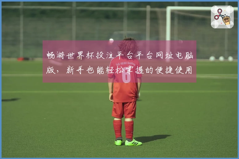 畅游世界杯投注平台平台网址电脑版，新手也能轻松掌握的便捷使用指南
