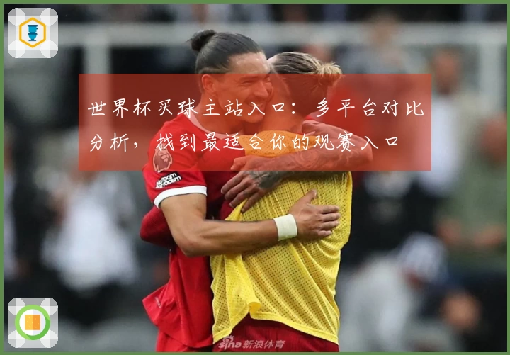 世界杯买球主站入口：多平台对比分析，找到最适合你的观赛入口