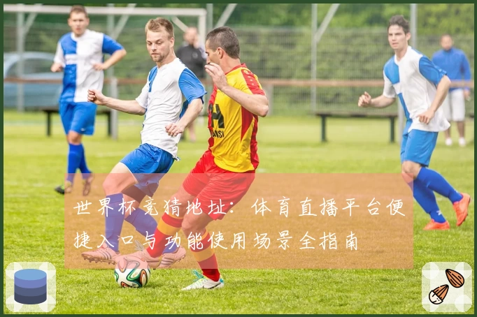 世界杯竞猜地址：体育直播平台便捷入口与功能使用场景全指南