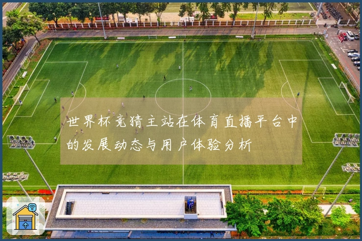 世界杯竞猜主站在体育直播平台中的发展动态与用户体验分析