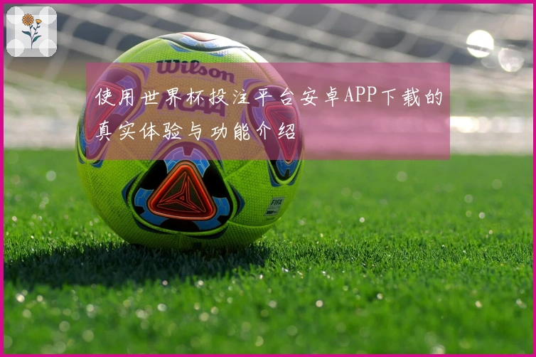 使用世界杯投注平台安卓APP下载的真实体验与功能介绍